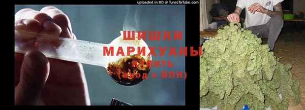 дживик Алзамай