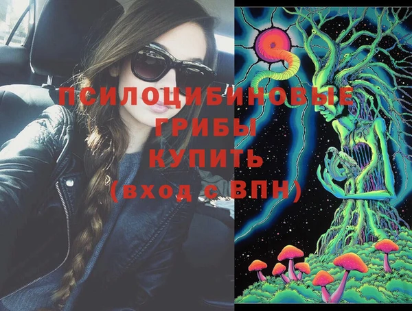 дживик Алзамай