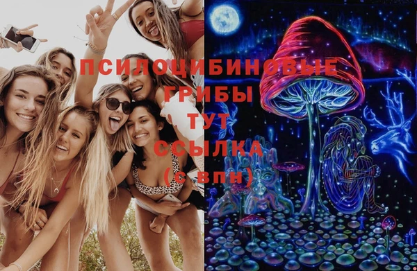дживик Алзамай