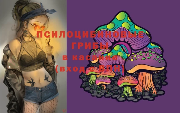 дживик Алзамай