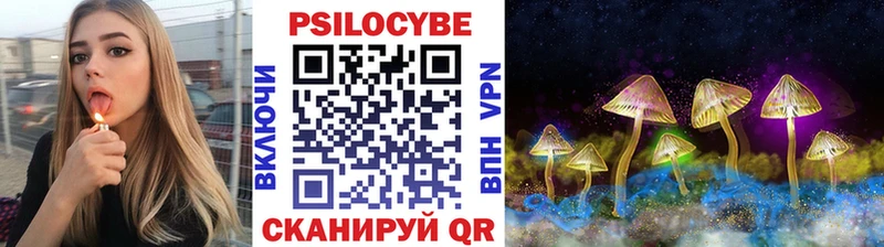 хочу Пикалёво Галлюциногенные грибы Psilocybe