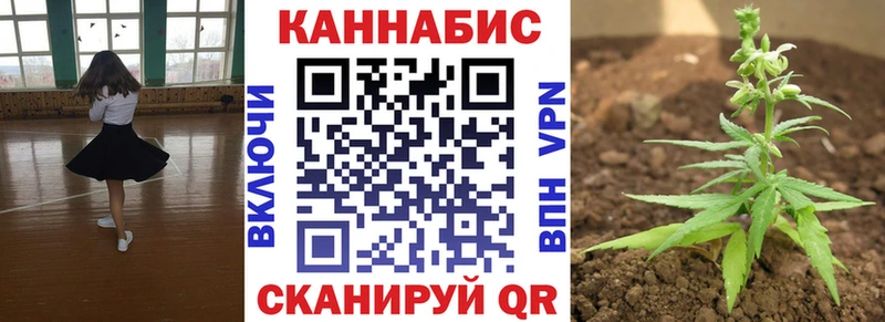 Бошки марихуана тримм  как найти закладки  kraken зеркало  Пикалёво 
